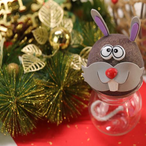 蒙草 快乐小草 草娃娃 猫草 创意礼品种子草种生态绿化