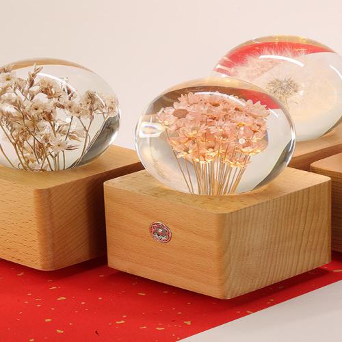 蒙草 快乐小草 植物水晶球 种子 草种 草坪 生态 绿化